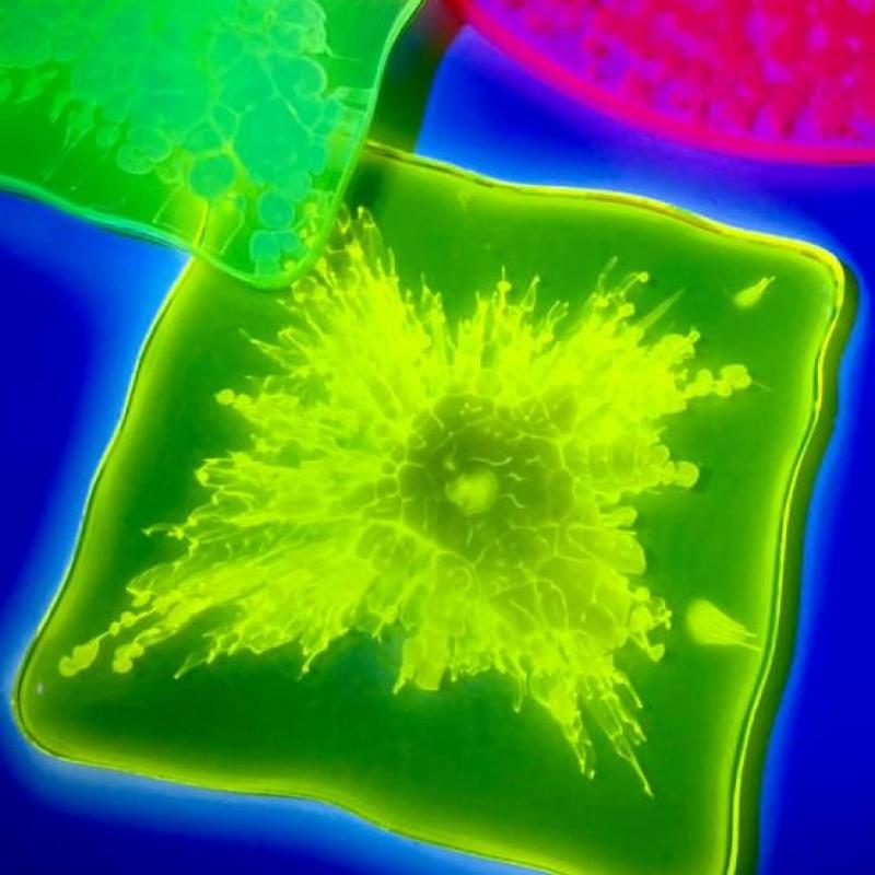 Краситель для органоразбавляемых ЛКМ и смол UV Crazy Yellow neon dye - 15 мл (УФ флуоресцентный желто-зеленый)